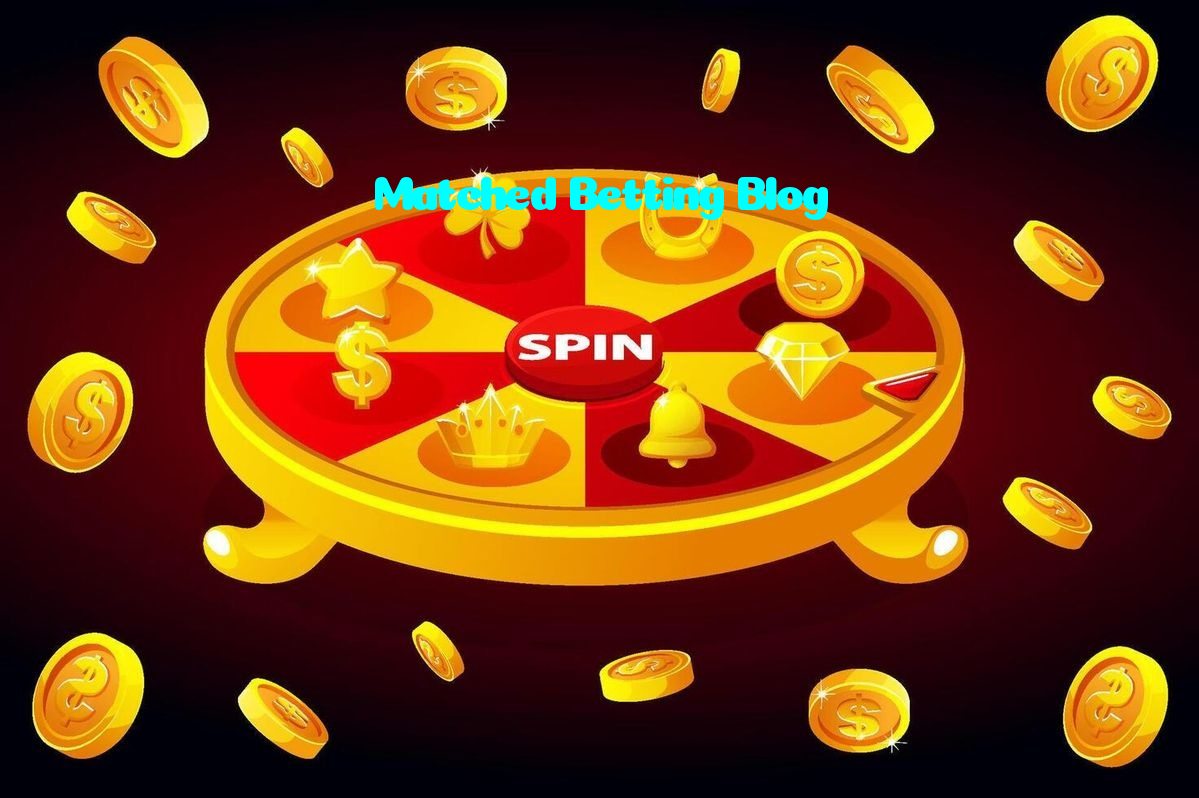 available types of Matched Betting Blog bet including pre-match live express and system bets